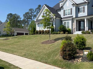 Joan A.'s turf care service result