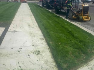 Patrick C.'s lawn care service result