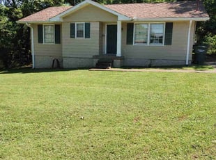Topher O.'s turf care service result