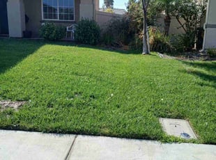 Kodjo A.'s lawn care services service result