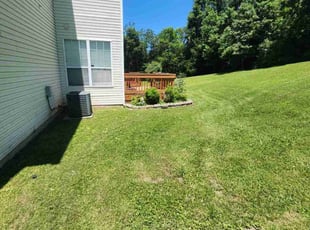 Meredith E.'s lawn service service result