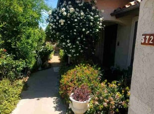 Steven G.'s Bush Trimming service result