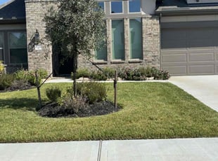Keila S.'s lawn care services service result