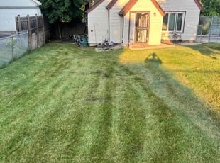Jenny S.'s grass maintenance service result