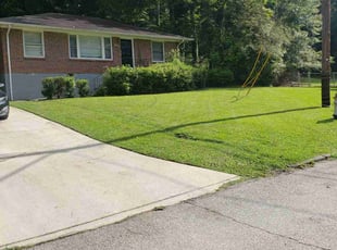 Lisa B.'s turf care service result