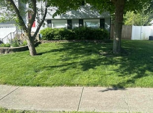 Pat K.'s lawn care services service result