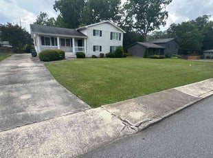 Irish D.'s grass cutting service result