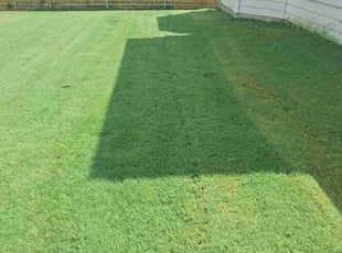 Deborah C.'s turf maintenance service result
