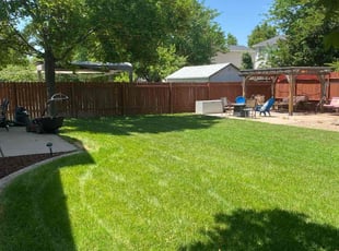 Trish M.'s lawn service service result