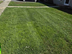 Teresa W.'s lawn maintenance service result