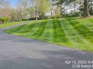 Michael K.'s lawn maintenance service result