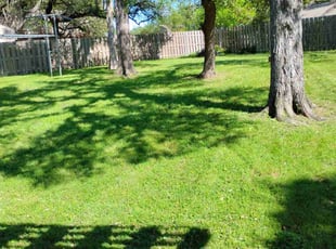 Nasar B.'s lawn care service result