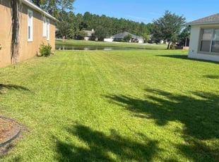 Mishon J.'s turf care service result