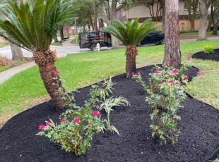 Katherine M.'s Landscaping service result