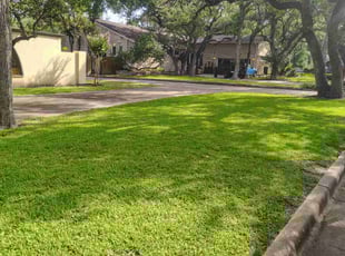 Sonal R.'s grass cutting service result