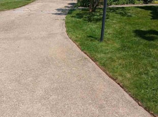 Allison O.'s lawn service service result