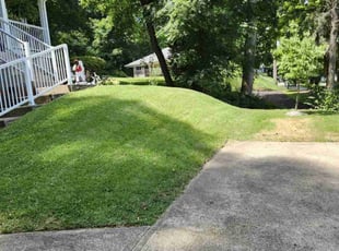 Tina A.'s grass cutting service result
