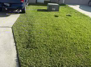 Damon R.'s grass cutting service result