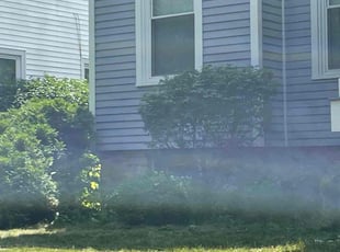 Tam B.'s Bush Trimming service result