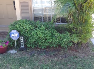 Sandra D.'s Bush Trimming service result