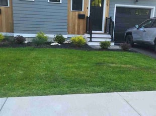 Kimberly P.'s grass maintenance service result