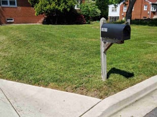 Michael M.'s lawn care service result