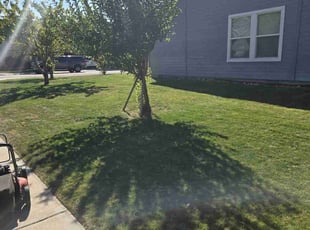 Aaron G.'s lawn care services service result