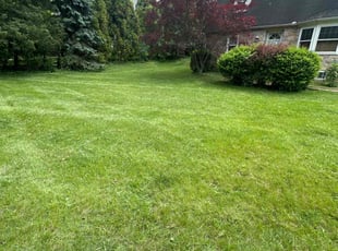 Rosa N.'s turf care service result