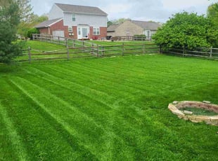 Lisa G.'s lawn service service result