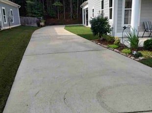 Salena B.'s lawn care service result