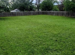 Tracy B.'s lawn care services service result
