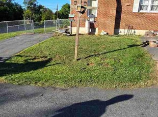 Jane W.'s lawn care services service result