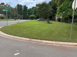 Bill R.'s lawn care service result
