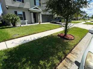 Trey M.'s grass maintenance service result