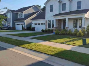 Dan C.'s lawn care services service result