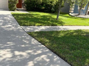 Emily T.'s lawn care service result