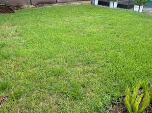 Frederick R.'s landscaping service result