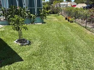 Anitra L.'s turf maintenance service result