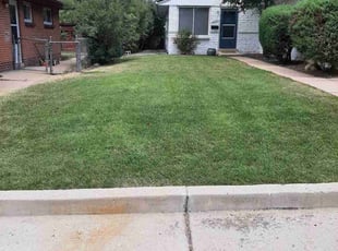 Michael G.'s lawn care services service result