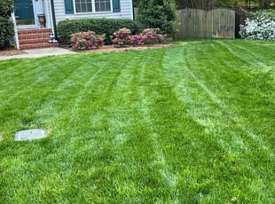 Brandon C.'s grass maintenance service result