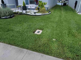 Linda M.'s lawn care service result