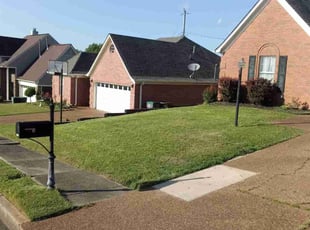 Tammie M.'s lawn maintenance service result