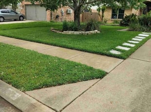 Oliva I.'s turf maintenance service result