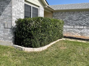 Jon C.'s Bush Trimming service result