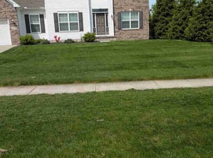 Martha G.'s Long Grass Cleanup service result
