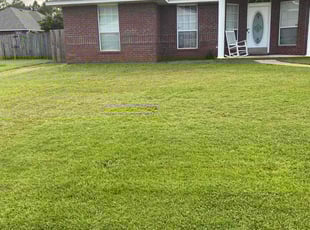 Amy D.'s turf maintenance service result