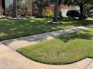 Tanya R.'s lawn care services service result