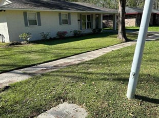 Lana M.'s grass cutting service result