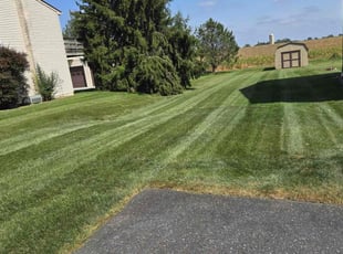 Meloney L.'s lawn service service result