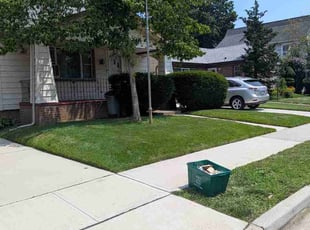 Darlene G.'s Cleanup service result
